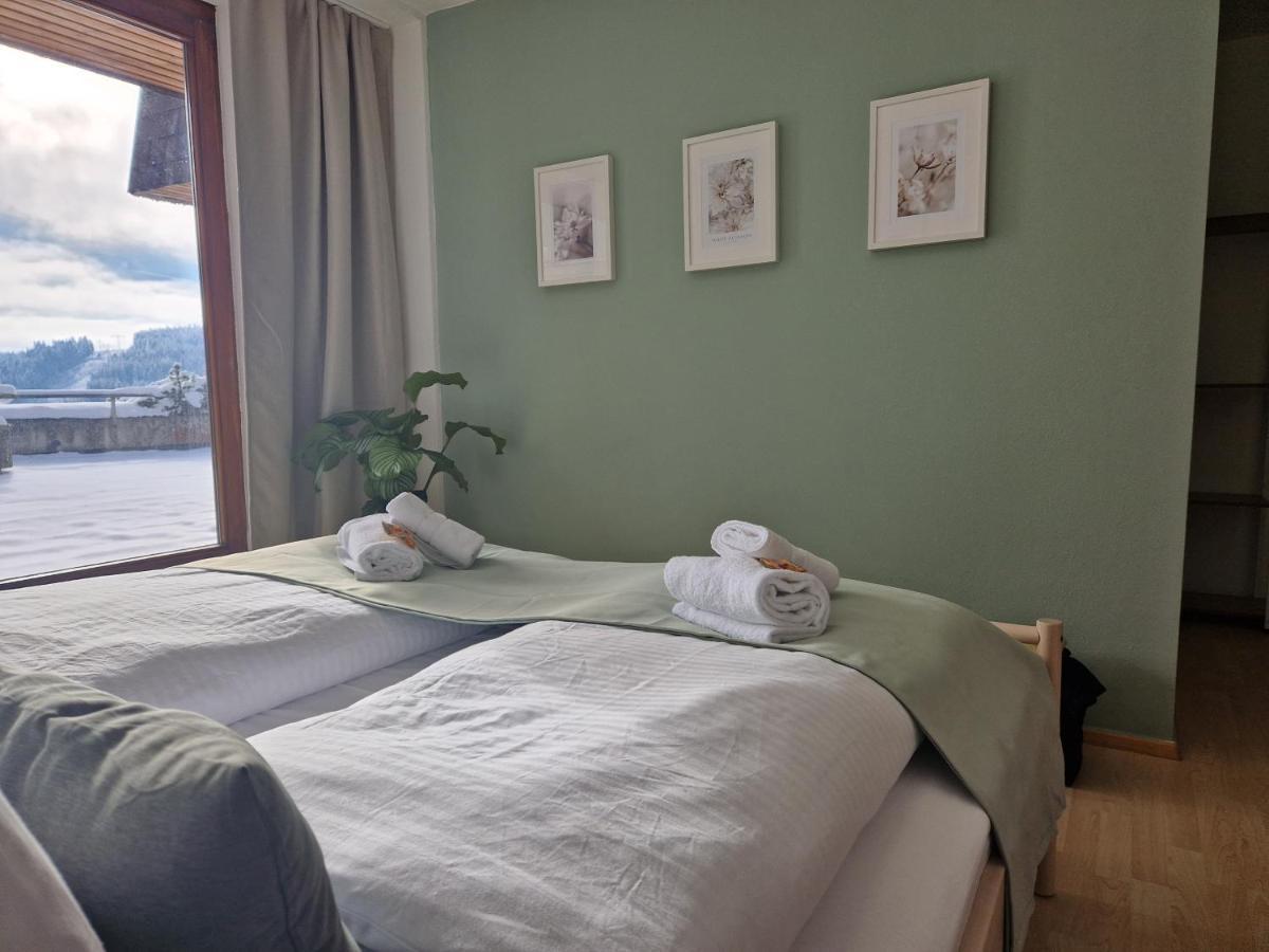 Grosse Terrasse, Netflix, 5Min Zum Skilift, 6 Personen, Waldnah, Schonach im Schwarzwald Exterior photo
